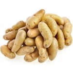 Sadbové brambory Ratte - Solanum tuberosum - sadba - 5 ks – Zboží Dáma