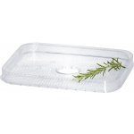 Steba ED 5 – Zboží Dáma