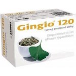 GINGIO POR 120MG TBL FLM 30 – Hledejceny.cz