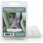 Kringle candle vonný vosk eucalyptus mint 64 g – Hledejceny.cz