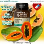 Nature’s Sunshine PAPAYA MINT 70 tablet po 1739 mg – Hledejceny.cz