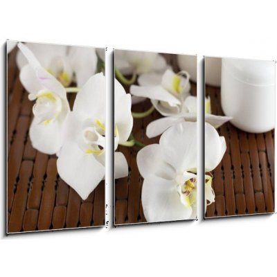 Obraz 3D třídílný - 90 x 50 cm - Face cream and white orchid on a bamboo mate Krém na obličej a bílá orchidej na bambusové kamarádce – Zboží Mobilmania