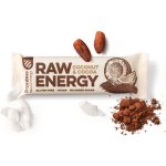 Bombus Raw Energy Coconut & Cocoa 50 g – Zbozi.Blesk.cz