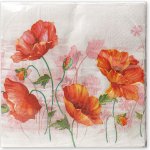 Argus Papírové ubrousky 33x33 cm 20ks 19035001 – Hledejceny.cz