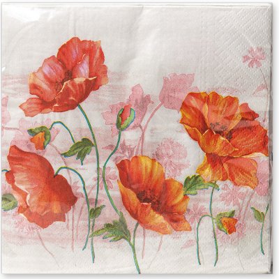 Argus Papírové ubrousky 33x33 cm 20ks 19035001 – Hledejceny.cz