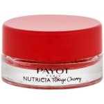 Payot Nutricia Baume Levres Cocoon 6 g – Hledejceny.cz