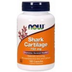 NOW Foods Shark Cartilage 750 mg 100 kapslí – Hledejceny.cz