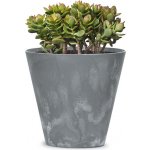 Prosperplast Květináč TUBUS BETON EFFECT marengo 30 cm – Hledejceny.cz