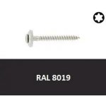 Vrut s podl. 15mm, nerez A2 4,5x35 Torx RAL8019 (Art.8790) – Hledejceny.cz