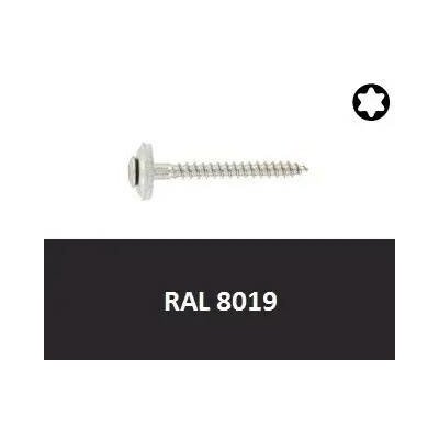 Vrut s podl. 15mm, nerez A2 4,5x35 Torx RAL8019 (Art.8790) – Hledejceny.cz