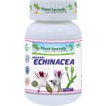 Planet Ayurveda Indická Echinacea extrakt 10:1 500 mg 60 kapslí – Hledejceny.cz