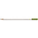 Tombow Irojiten Moss green CI-RD16 – Zboží Dáma