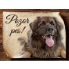 Autovýbava Sport hobby Cedulka Leonberger II Pozor pes CP648 20 x 15 cm