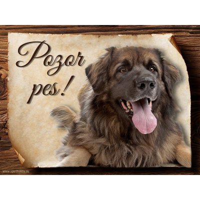 Sport hobby Cedulka Leonberger II Pozor pes 15 x 11 cm – Zbozi.Blesk.cz