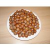 Krmivo pro ptactvo Manitoba Lískové ořechy 0,5 kg