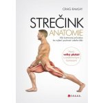 Strečink - anatomie – Hledejceny.cz