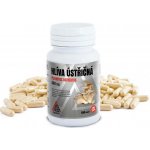 Valknut Hlíva ústřičná 400 mg 120 kapslí – Hledejceny.cz