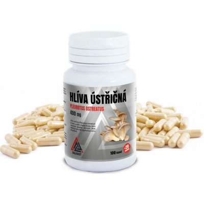 Valknut Hlíva ústřičná 400 mg 120 kapslí – Hledejceny.cz