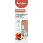 Bolsius Aromatic 2.0 Diffuser Apple Cinnamon vonná stébla 45 ml – Zboží Dáma