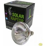 Econlux Solar Raptor E27 80 W UVB – Hledejceny.cz