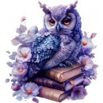 Nažehlovací obrázek - sova na knihách (14,7 x 16,0 cm) – Sleviste.cz
