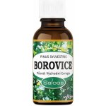 Saloos esenciální olej Borovice 20 ml – Hledejceny.cz
