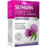 Silymarin Forte 250 mg mikronizovaný ostropestřec s vit D3 40 tablet – Hledejceny.cz