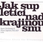 Zajíček Pavel Dg 307 & Agon Orchestra - Jak sup letící nad krajinou snu CD – Hledejceny.cz