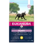 Eukanuba Puppy & Junior Large Breed 3 kg – Hledejceny.cz