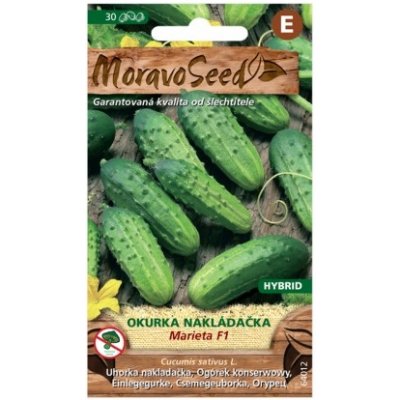 MoravoSeed CZ a.s. MoravoSeed Okurka nakládačka MARIETA F1