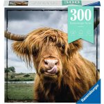 Ravensburger 132737 Fauna z vysočiny 300 dílků – Hledejceny.cz