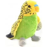 Andulka žlutá – Zboží Dáma