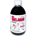 Orling Gelacan Darling BIOSOL 500 ml – Zboží Mobilmania