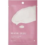 Mizon Joyful Time Mask Jeju Camellia Kamélie 23 g – Hledejceny.cz