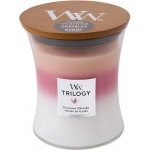 WoodWick Trilogy Blooming Orchard 275 g – Hledejceny.cz