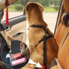Potřeby pro cestování se psem Surtep Animals Bezpečnostní pás pro psa 45-70 cm x 2,5 cm