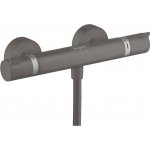 Hansgrohe 13116340 – Hledejceny.cz