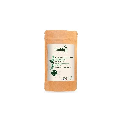 Emblica Revitalizační pudrová péče o vlasy BIO 100 g – Hledejceny.cz