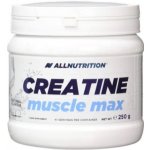 All Nutrition CREATINE MUSCLE MAX 250 g – Hledejceny.cz