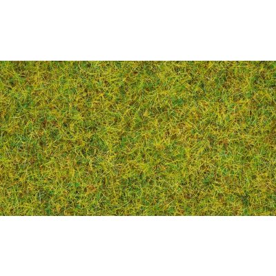 Noch Statická tráva Letní louka 2,5 mm – Zboží Dáma