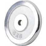 Gorilla Sports chromovaný 5 kg 205 mm – Hledejceny.cz