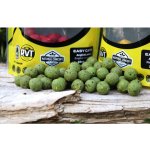 Mivardi Boilies Rapid Easy Catch Česnek & Chilli 950g 24mm – Hledejceny.cz