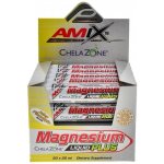 Amix Magnesium Liquid Plus 20 x 25 ml pineapple – Hledejceny.cz