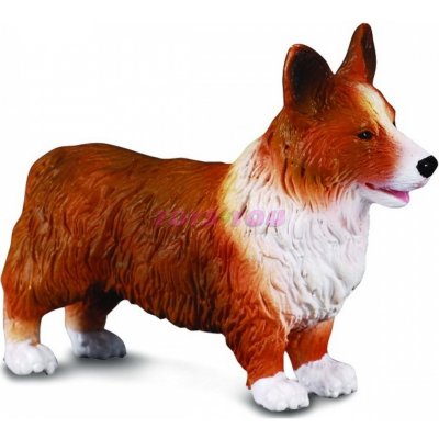 Collecta Corgi Welsh Pembroke – Zboží Mobilmania