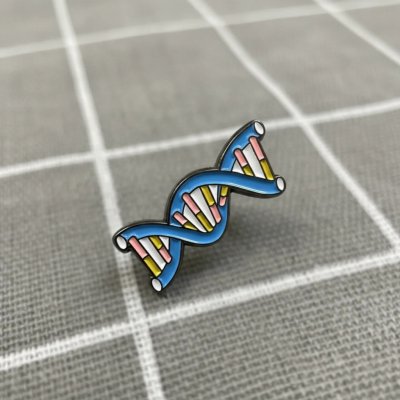 Pinarna DNA nositelka genetické informace – Zboží Dáma