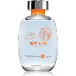 Mandarina Duck Let´s Travel To New York toaletní voda pánská 100 ml – Hledejceny.cz