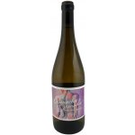 Bodegas Ignacio Marín Garnacha Desnuda Naked Grenache white Suché bílé 2022 13,5% 0,75 l (holá láhev) – Hledejceny.cz