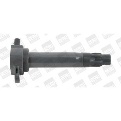 Zapalovací cívka BorgWarner (BERU) ZS562 – Hledejceny.cz