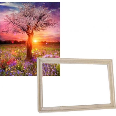 Gaira Malování podle čísel Žena ve stromě – Zboží Mobilmania