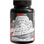 Big Zone Curcumin 90 kapslí – Hledejceny.cz